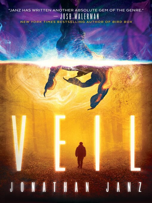 Cover image for Veil